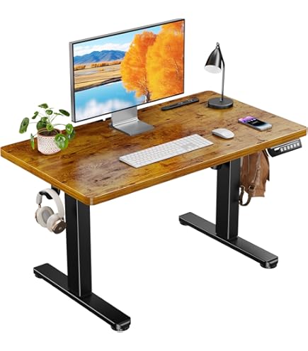 Amazon.co.jp: Radlove デスク 電動式 パソコンデスク